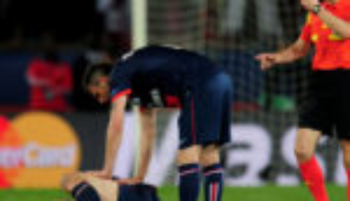 zlatanibrahimovic