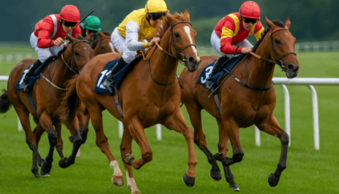 bet365bg