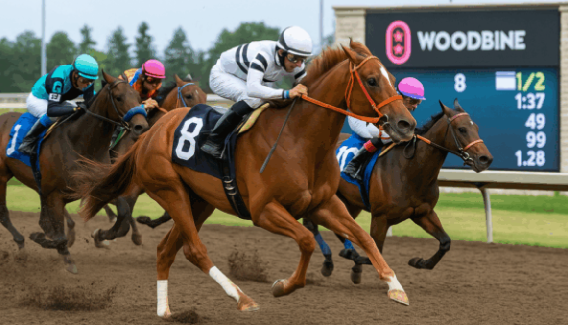 konjičku trku Woodbine bet365